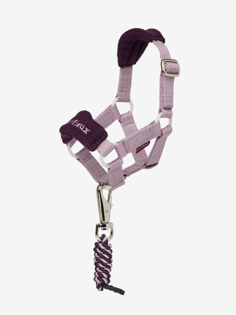 LeMieux Mini Toy Pony Headcollar in Fig